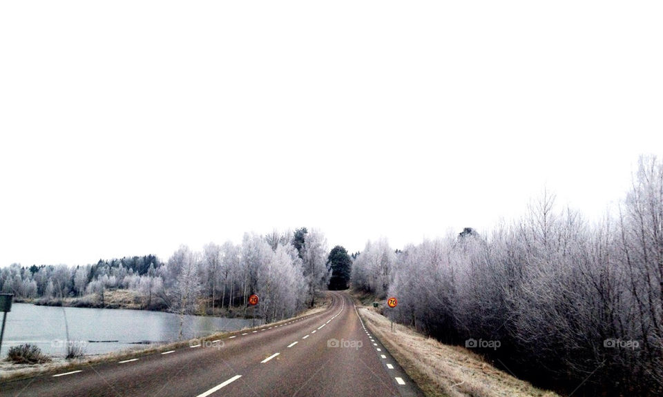 tree road sweden snow by arman