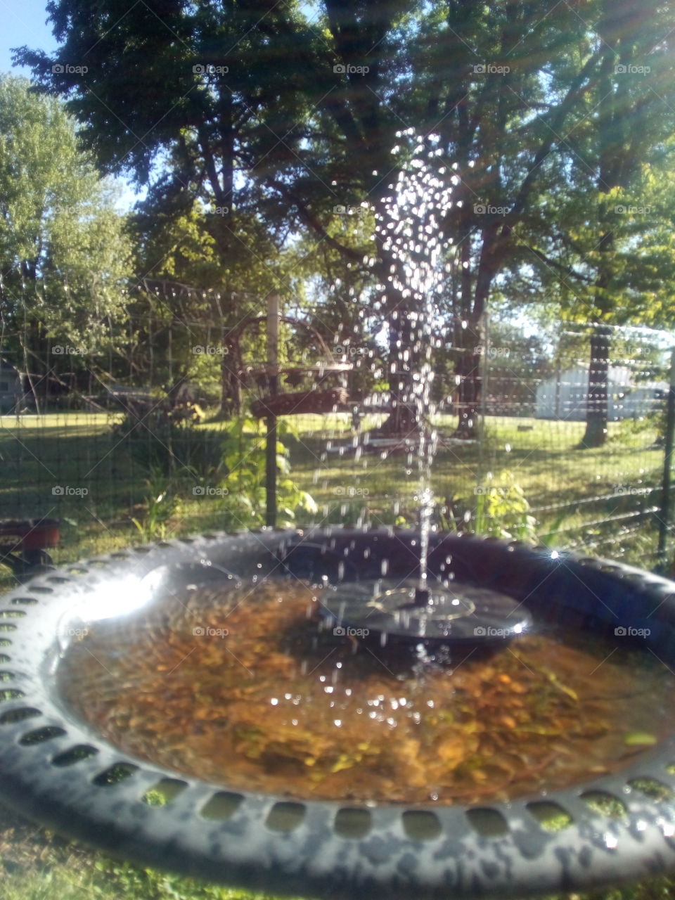 the son has come out and shining bright, the birds are happy today.make the day count.