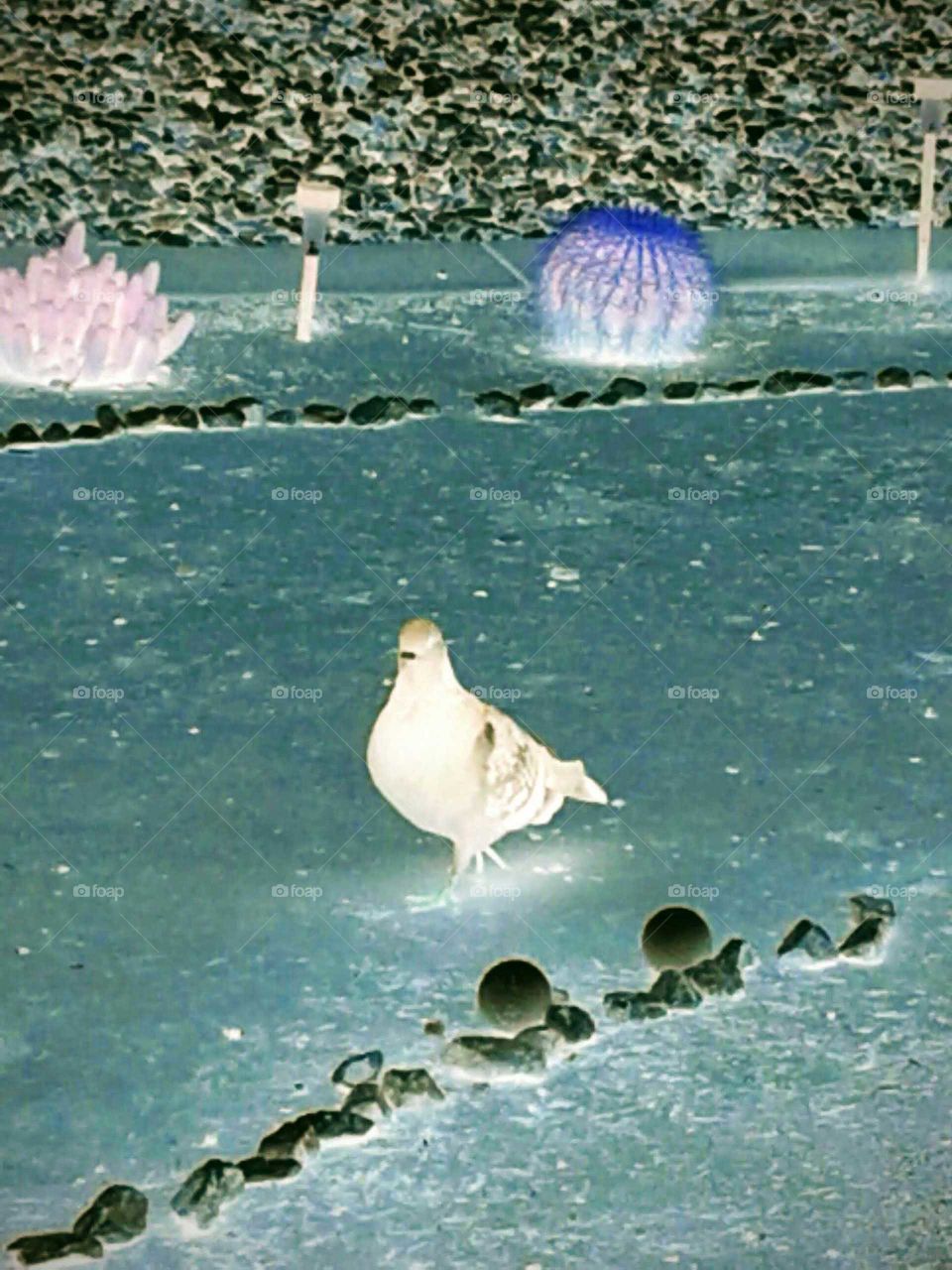 On a Negative Side of the Picture 
Things look a bit different then usual. 
Colors Brighter... yet in a different perspective.   We don't always see, the other side of the picture .