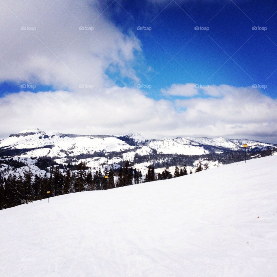 california snow snowboarding sugar bowl by MarshallSears