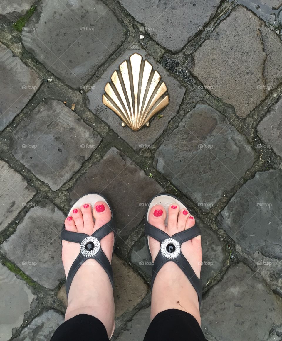 Scallop shells in the city of Brussels provide direction to local churches that give sanctuary to refugees 