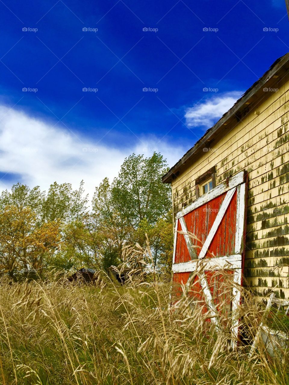 Abandoned rustic old house 