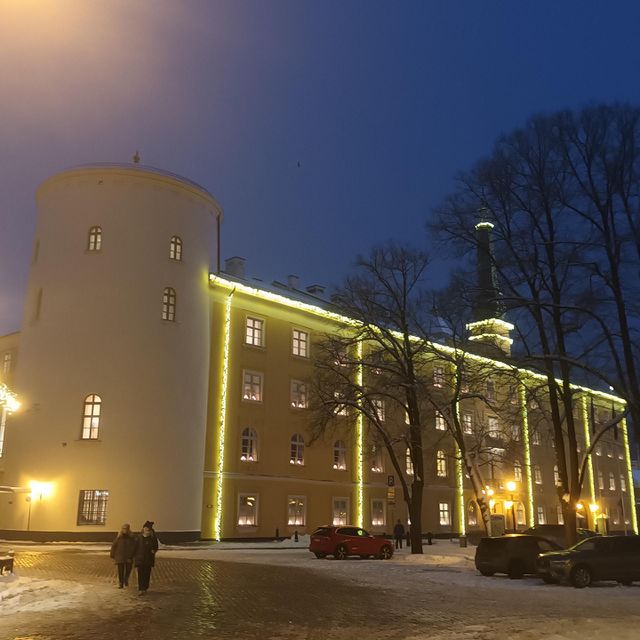 Riga's castle