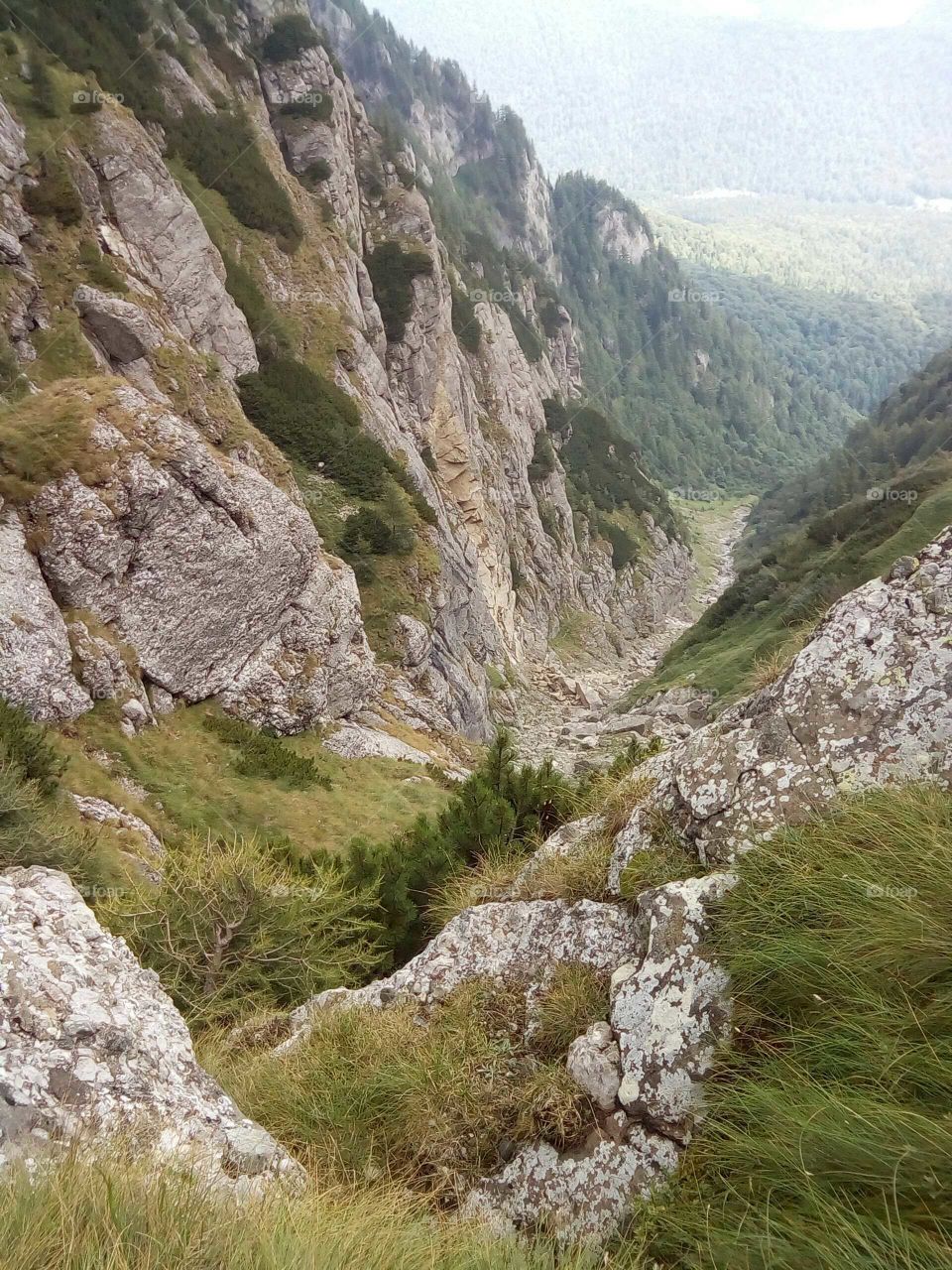 Valea Alba, România.