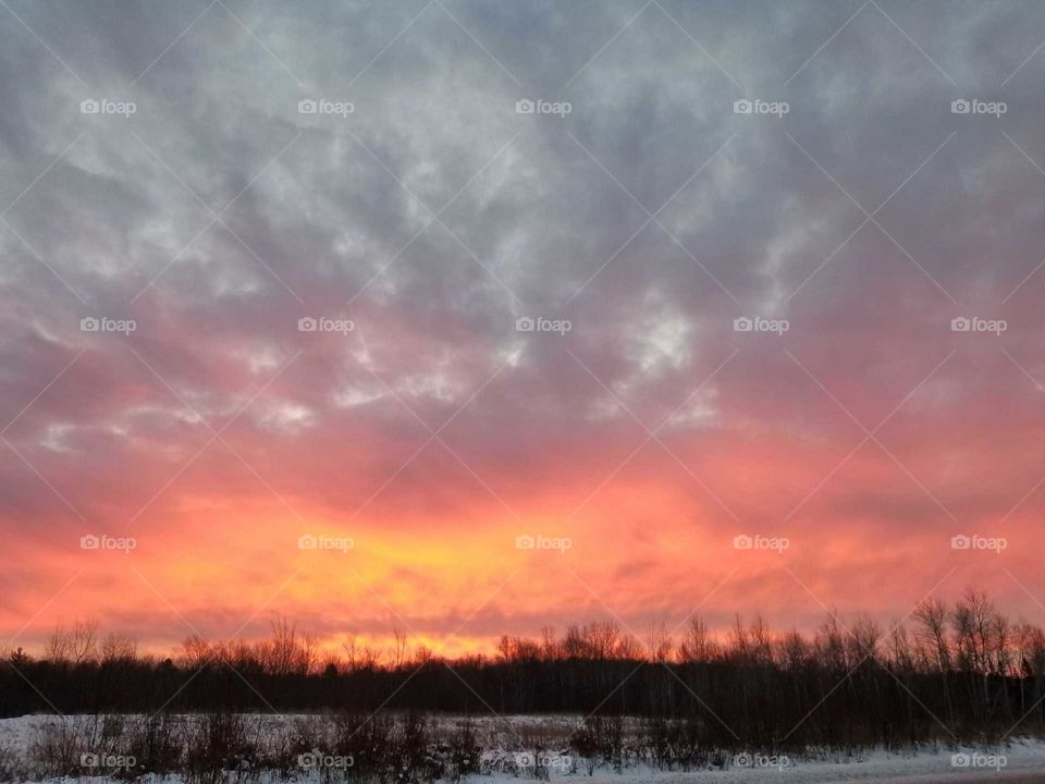 Only One can paint like that.