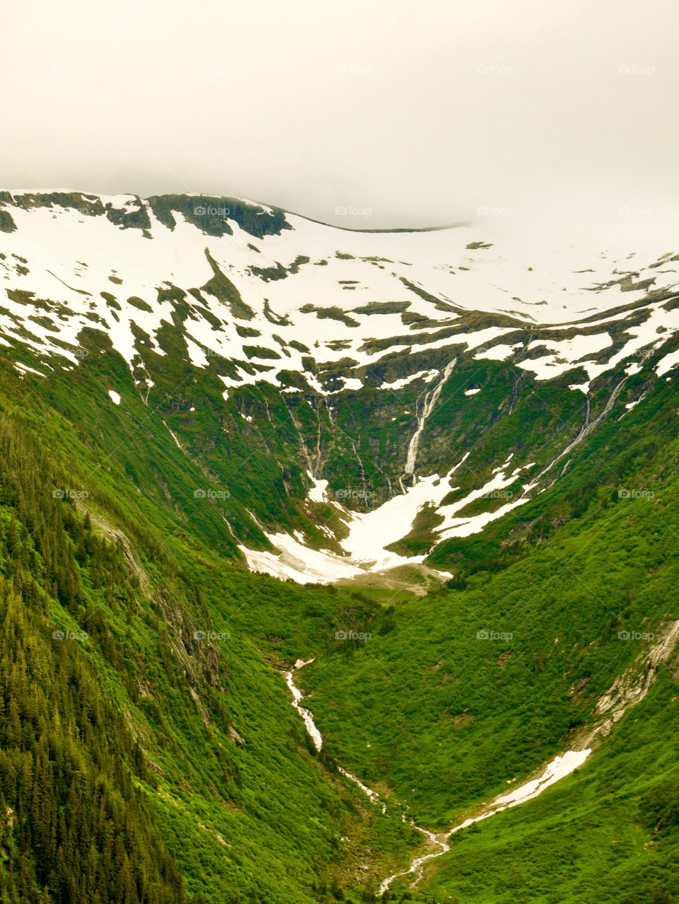 mountain ice forest woods by refocusphoto