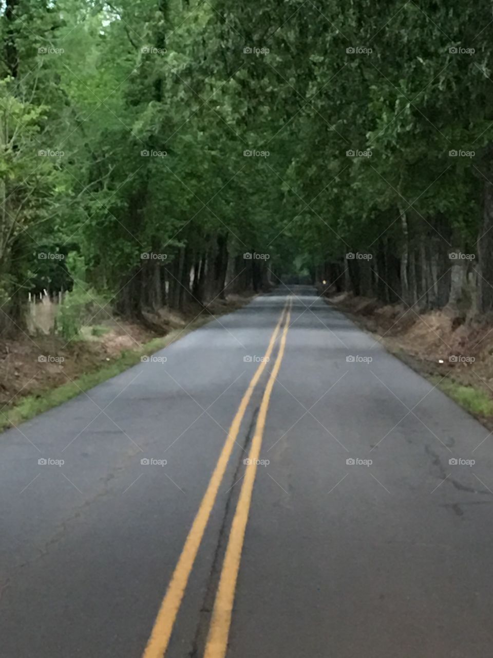 Country Road Take Me Home 