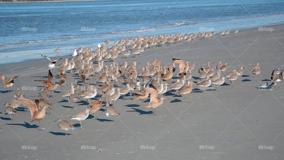 Enjoying the beach 