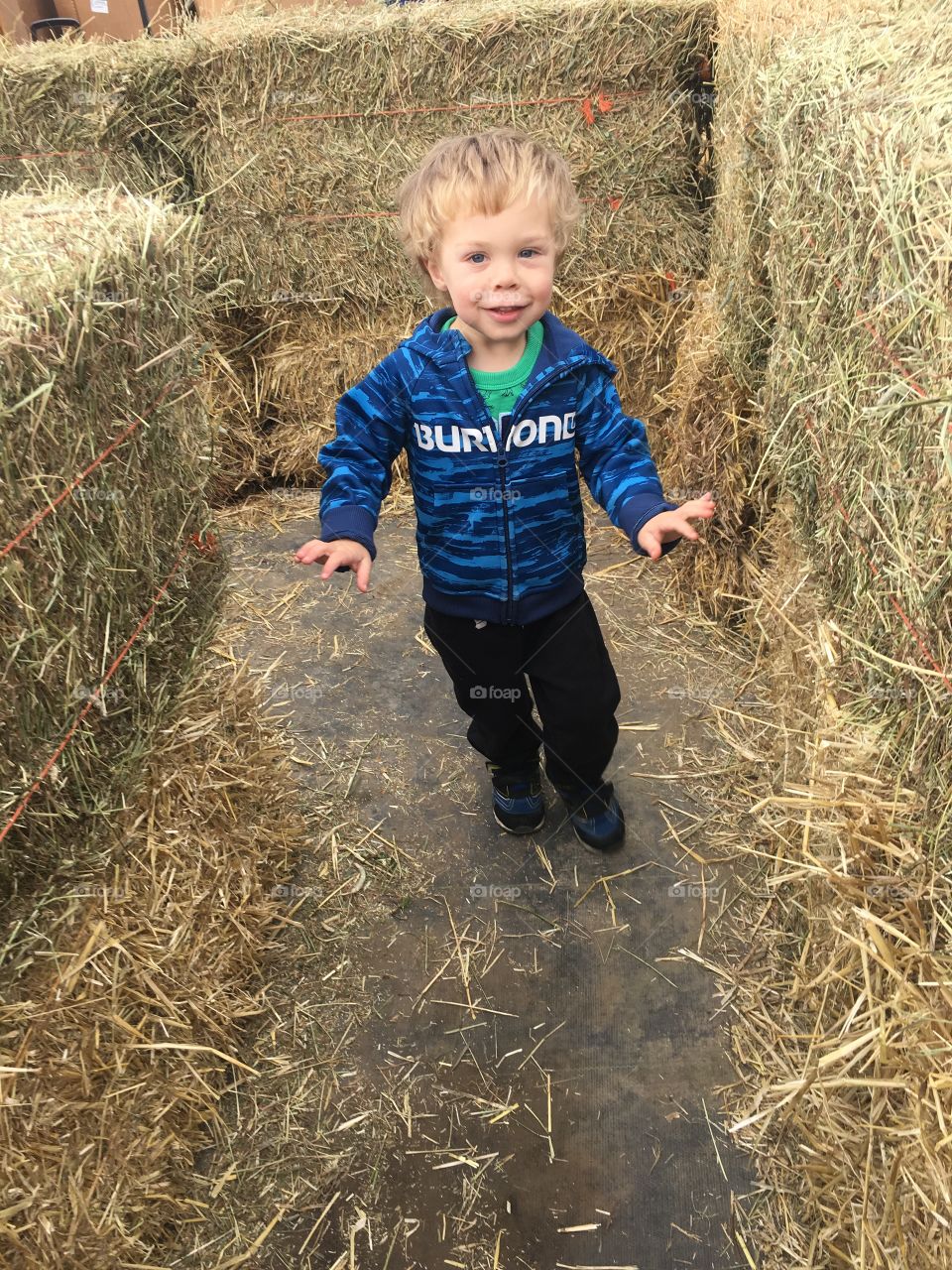 Fun at the pumpkin maze