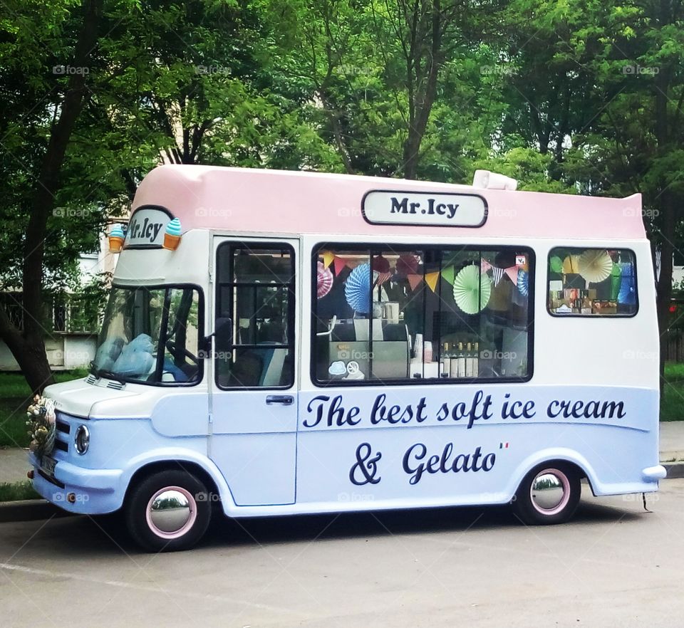 You can get some delicious ice cream from the classic purple truck in the city park.
