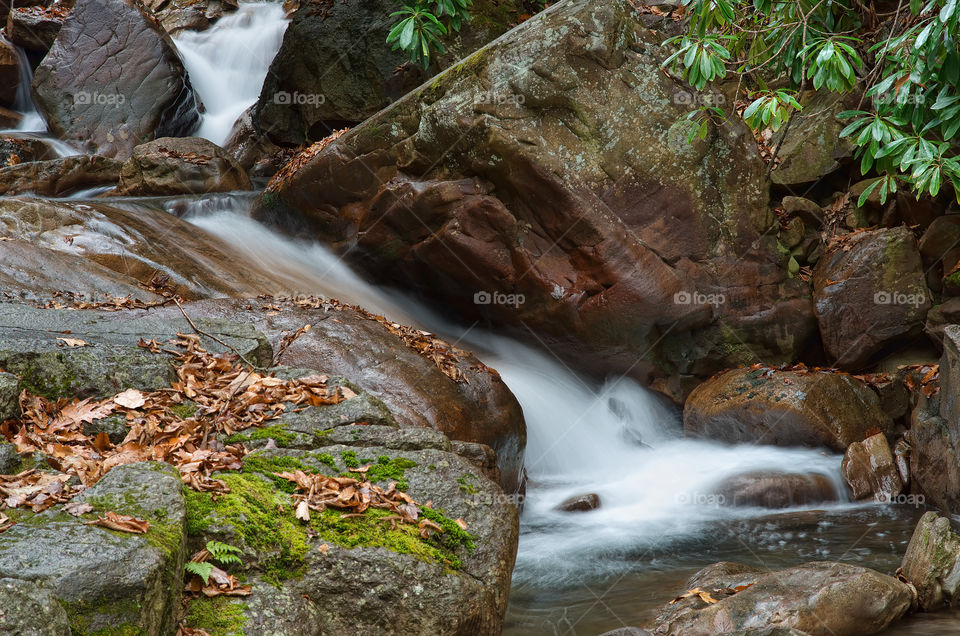 Buck Mountain Creek#1