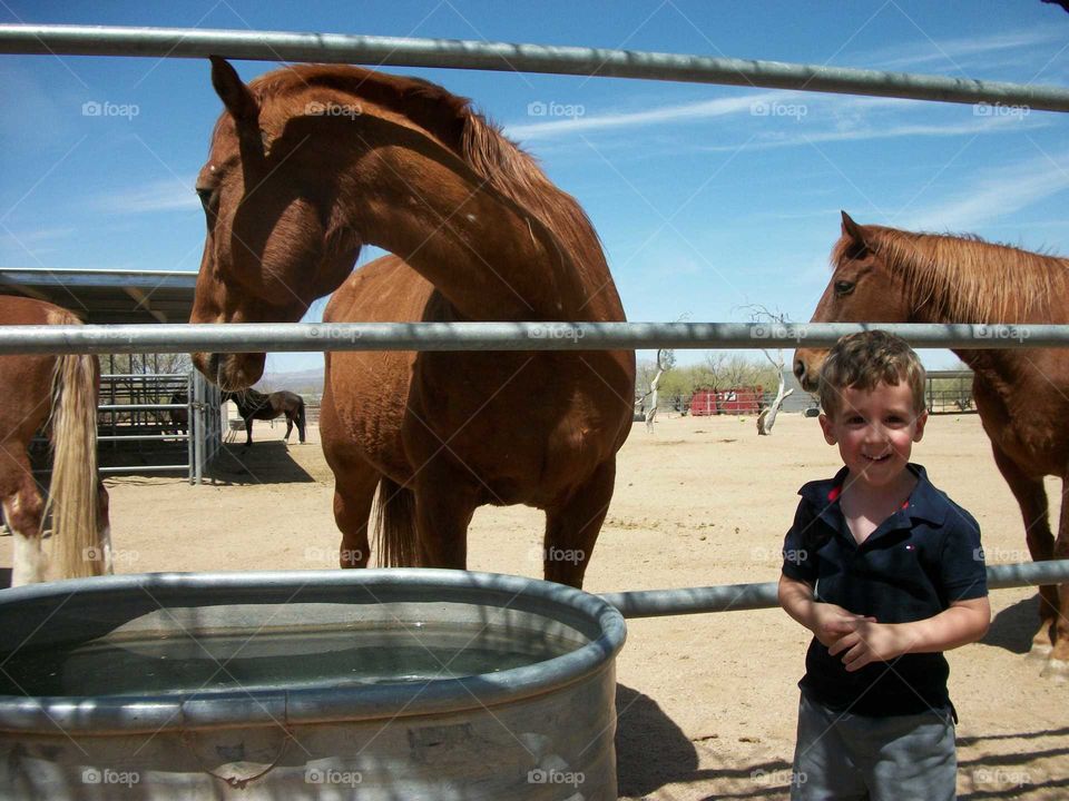 Boy and horse