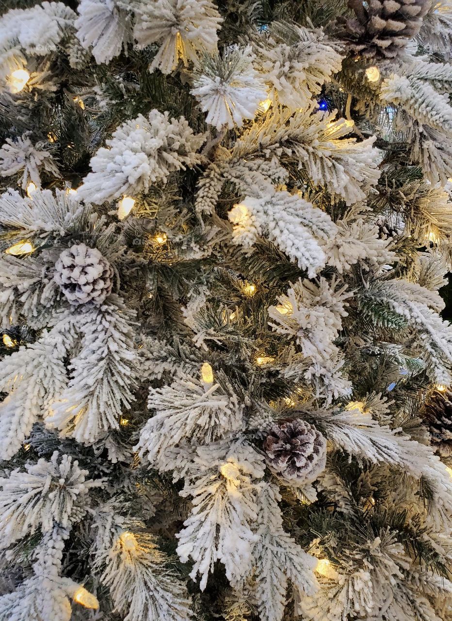 Christmas Tree of Snow and Lights