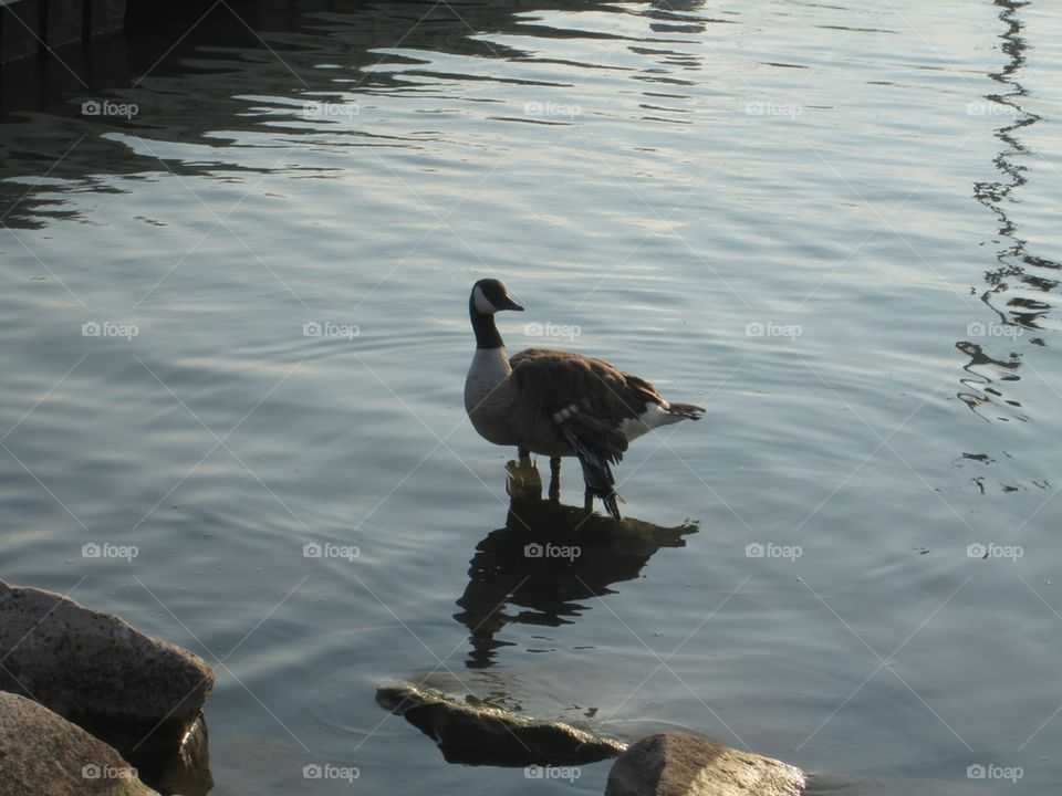 Beautiful day at the lake