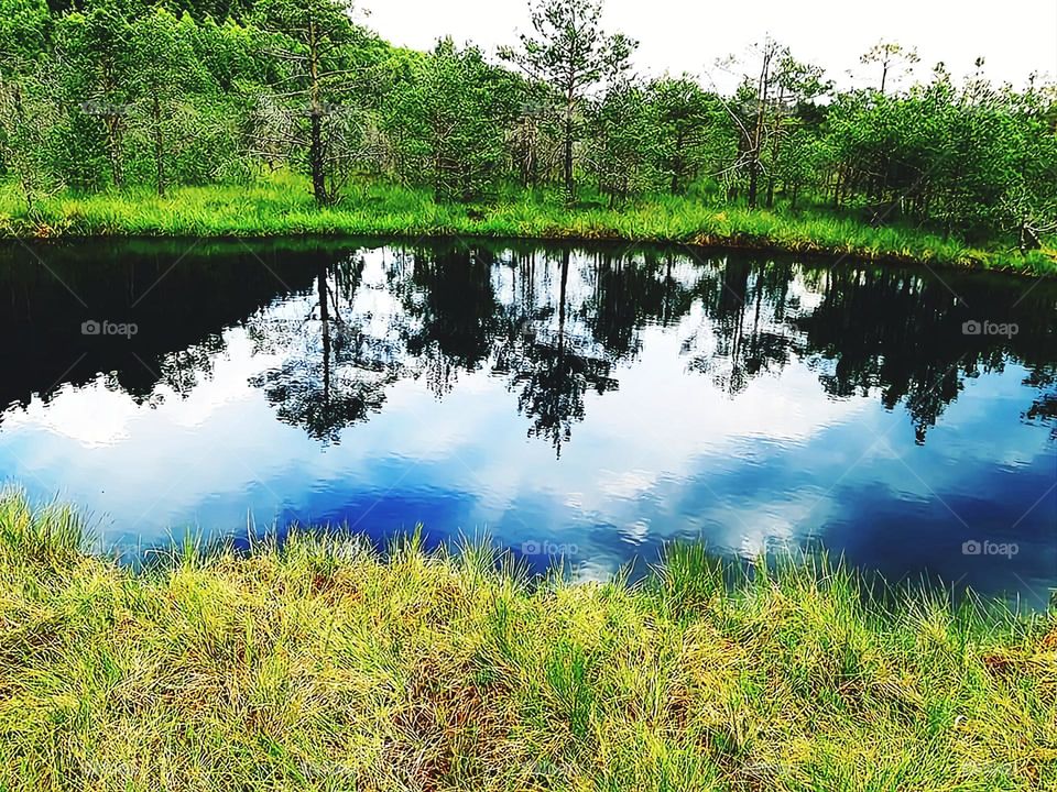 Upload Photo of the Week