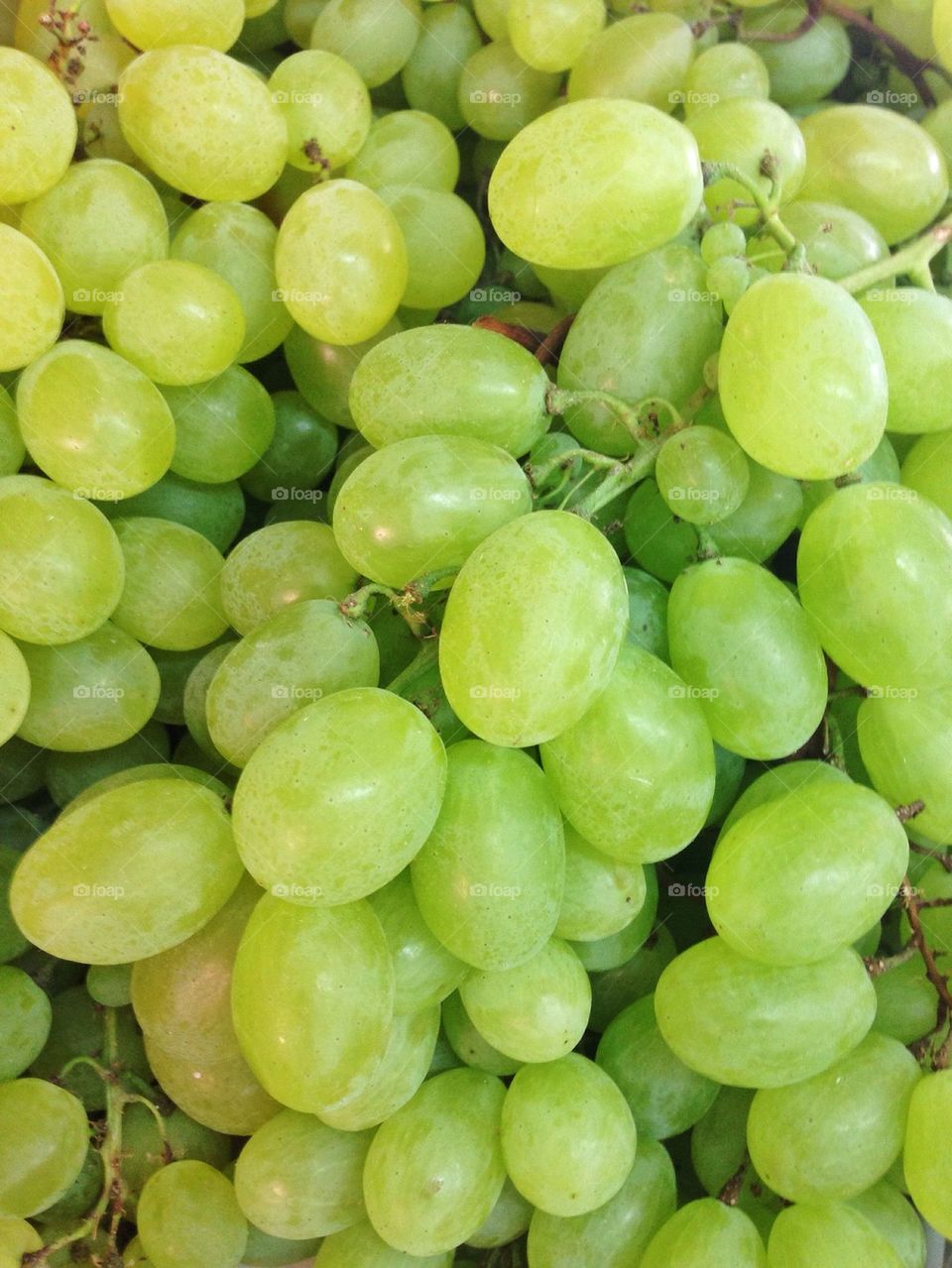 Close-up of grapes