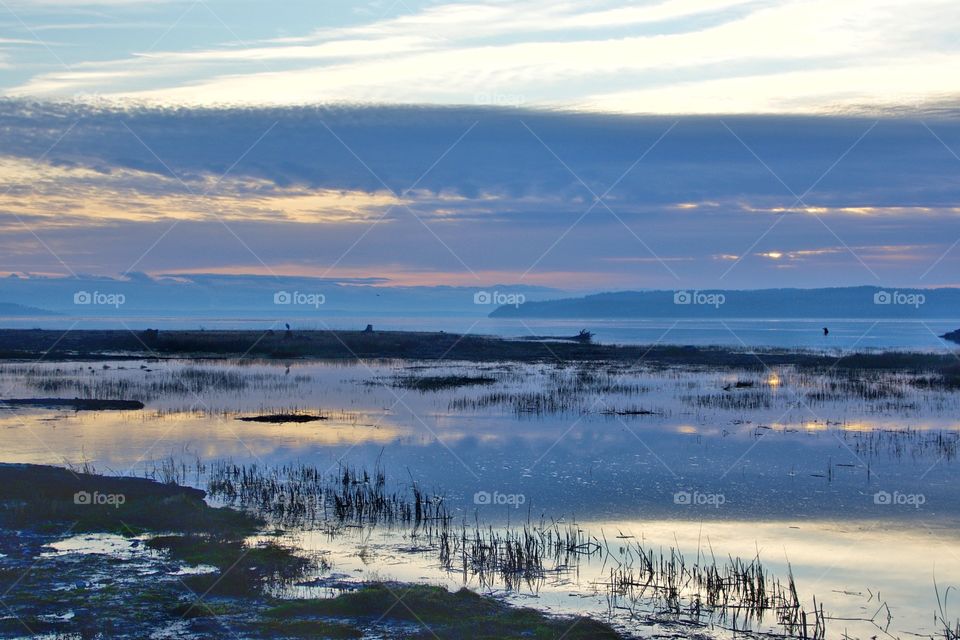 Marsh reflection