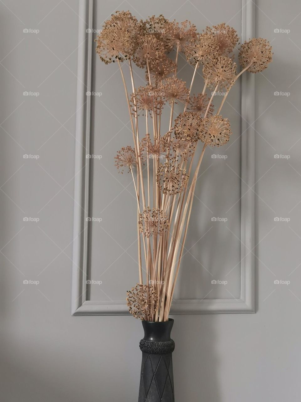 Home decor with dried giant allium