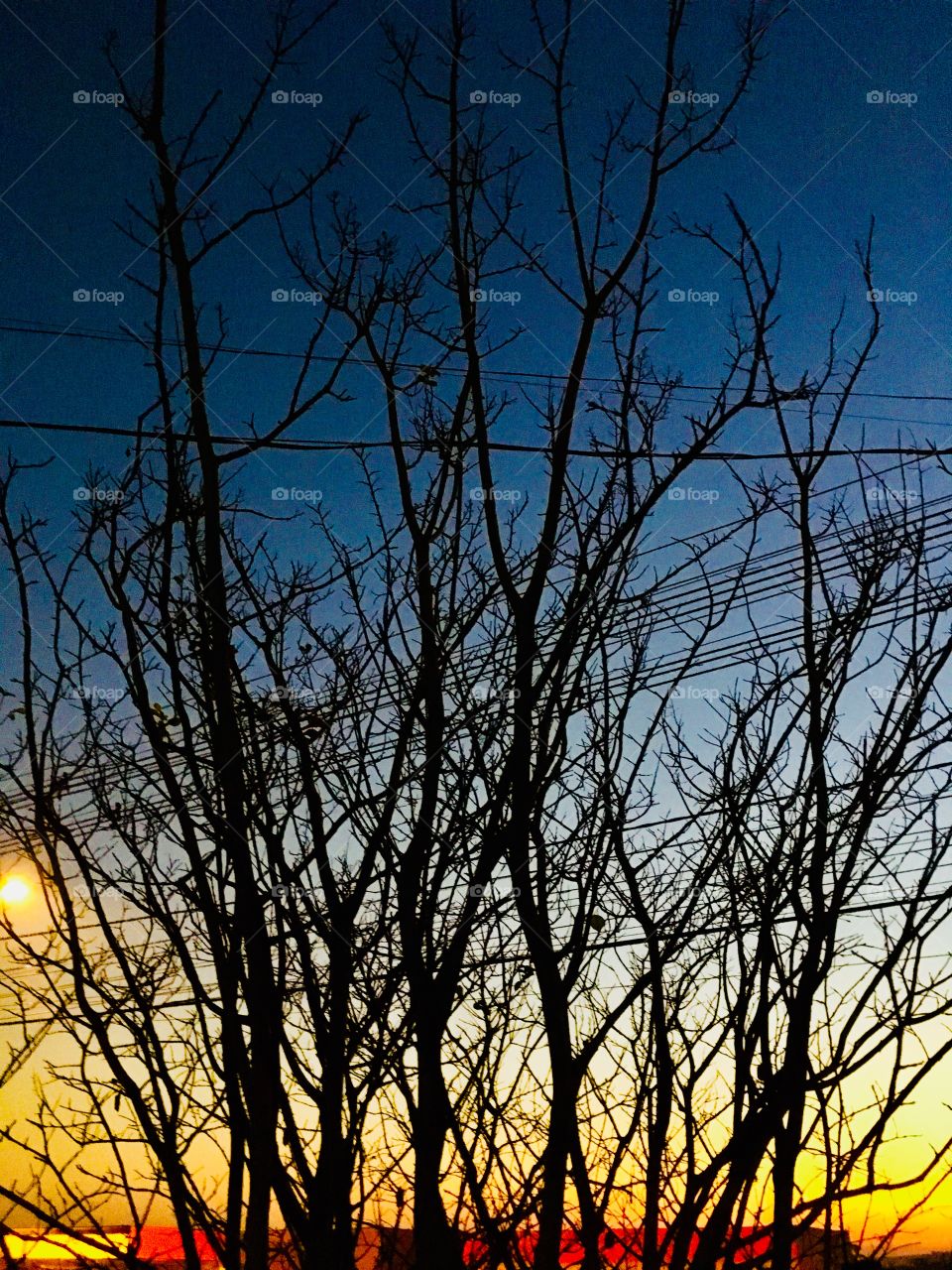 Cores fortes da alvorada dominical: um amanhecer vibrante esperando ser um bom dia.