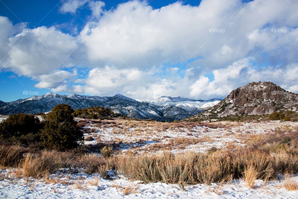 Winter in the desert