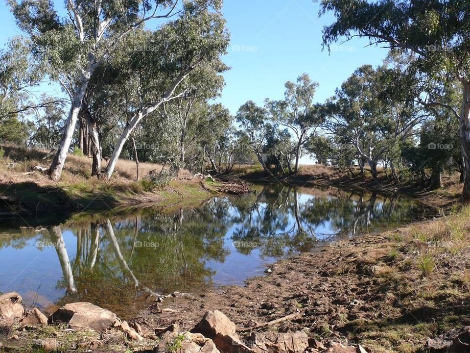 Low Tide Creek