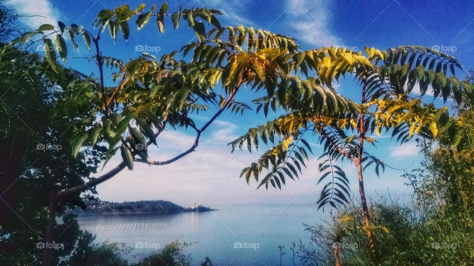 View from mountain to Piran