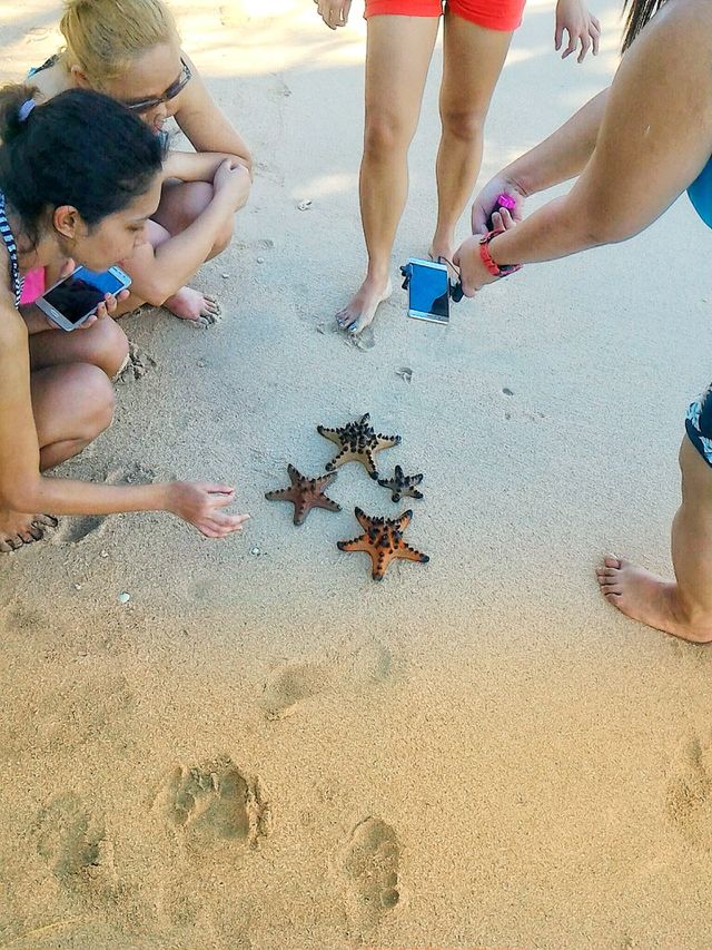 Looking for Patrick