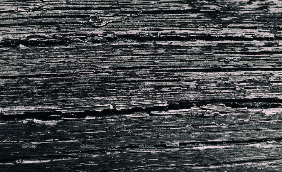 Black and white old wood texture