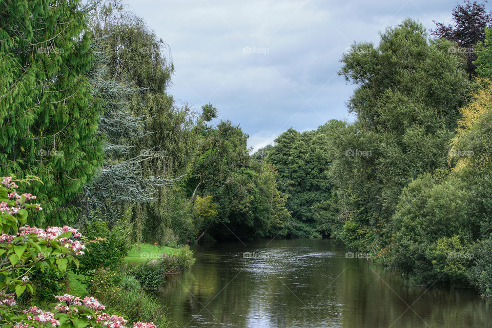 River Exe view...a picture postcard setting