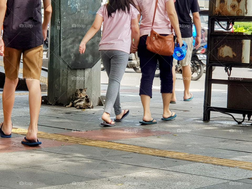 Flip flops, clorful popular footwear, v-shaped flip flops straps, general men's and women's footwear, unnoffiial footwear, used by young adults parents granparents, made of rubber or synthetic factories, thousand of years old