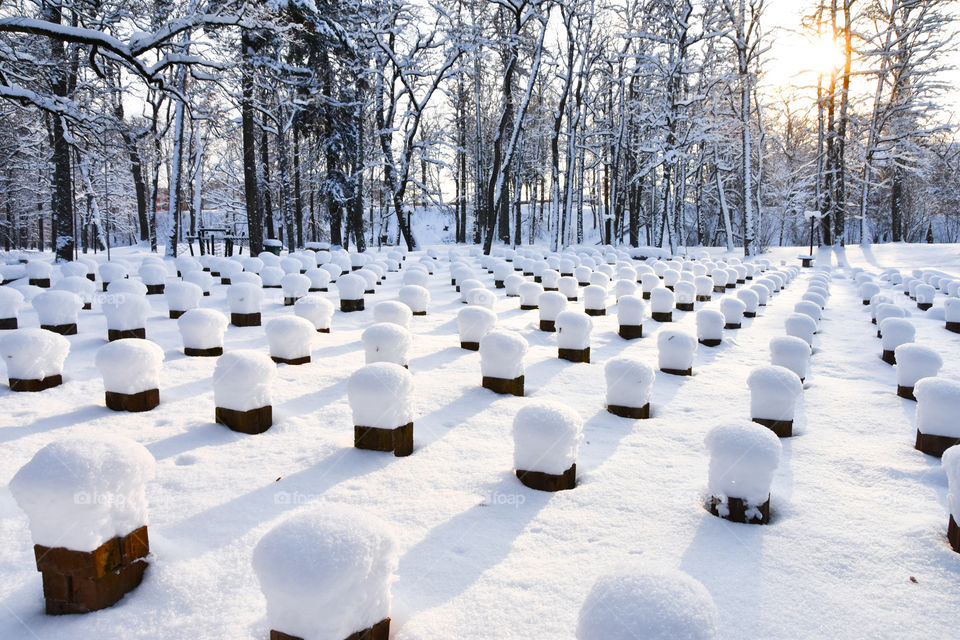 Winter visits the park.