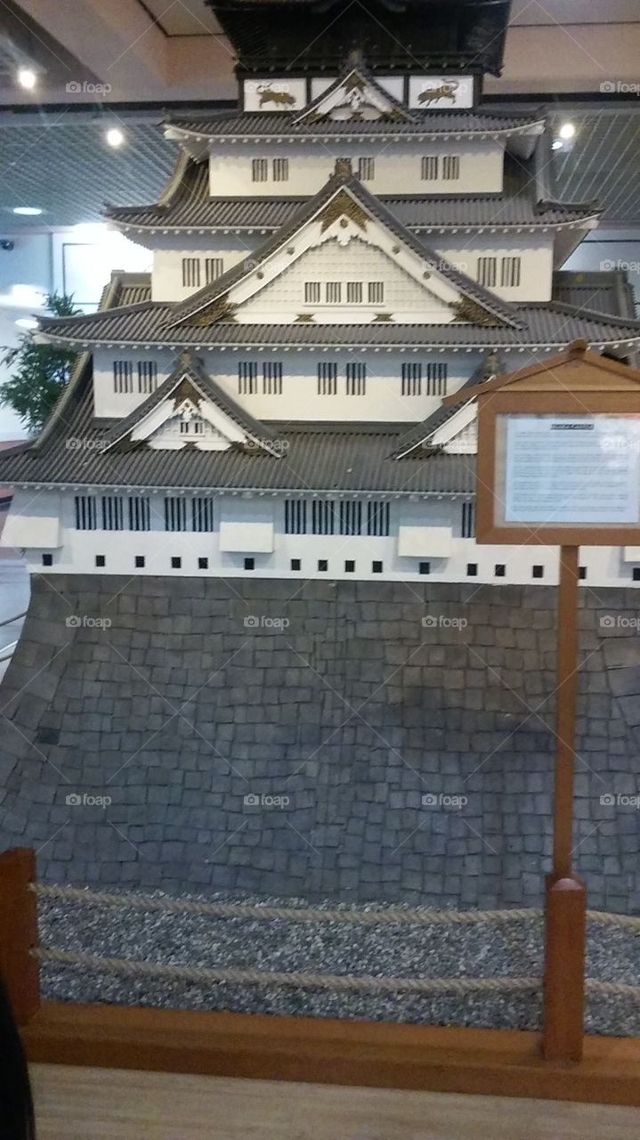 model building