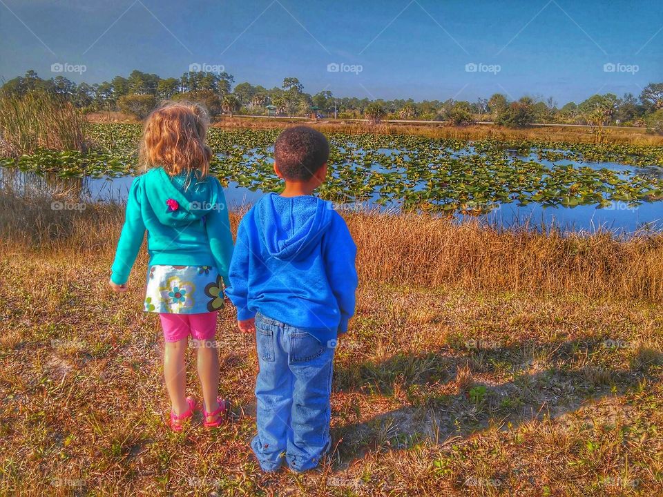 looking for alligators