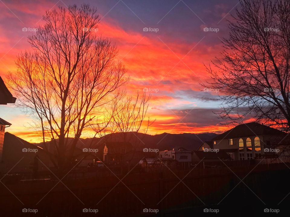 The amazingly beautiful Colorado sky. Good holiday colors too