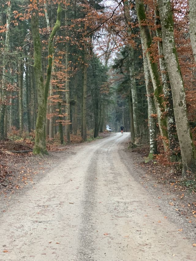 Village 