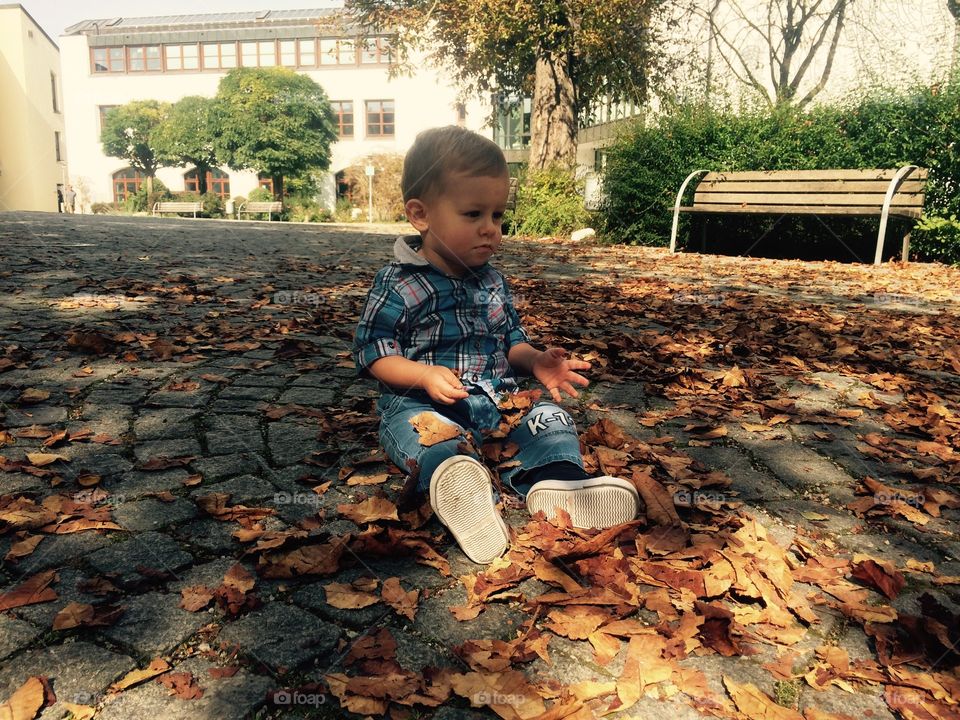 Boy sitting on autumn leafs