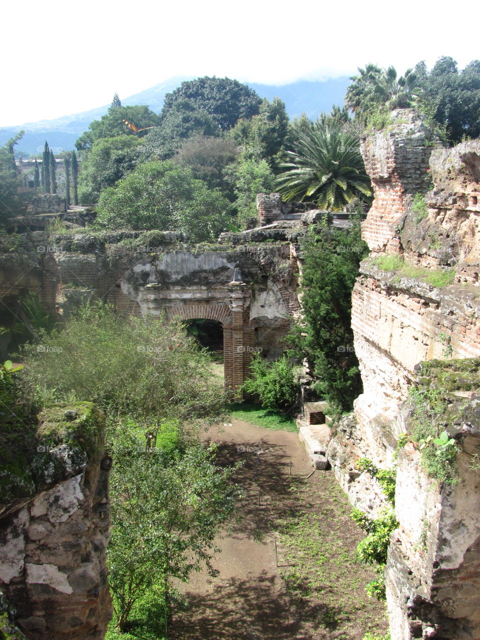 Ruinas del Convento de San Francisco