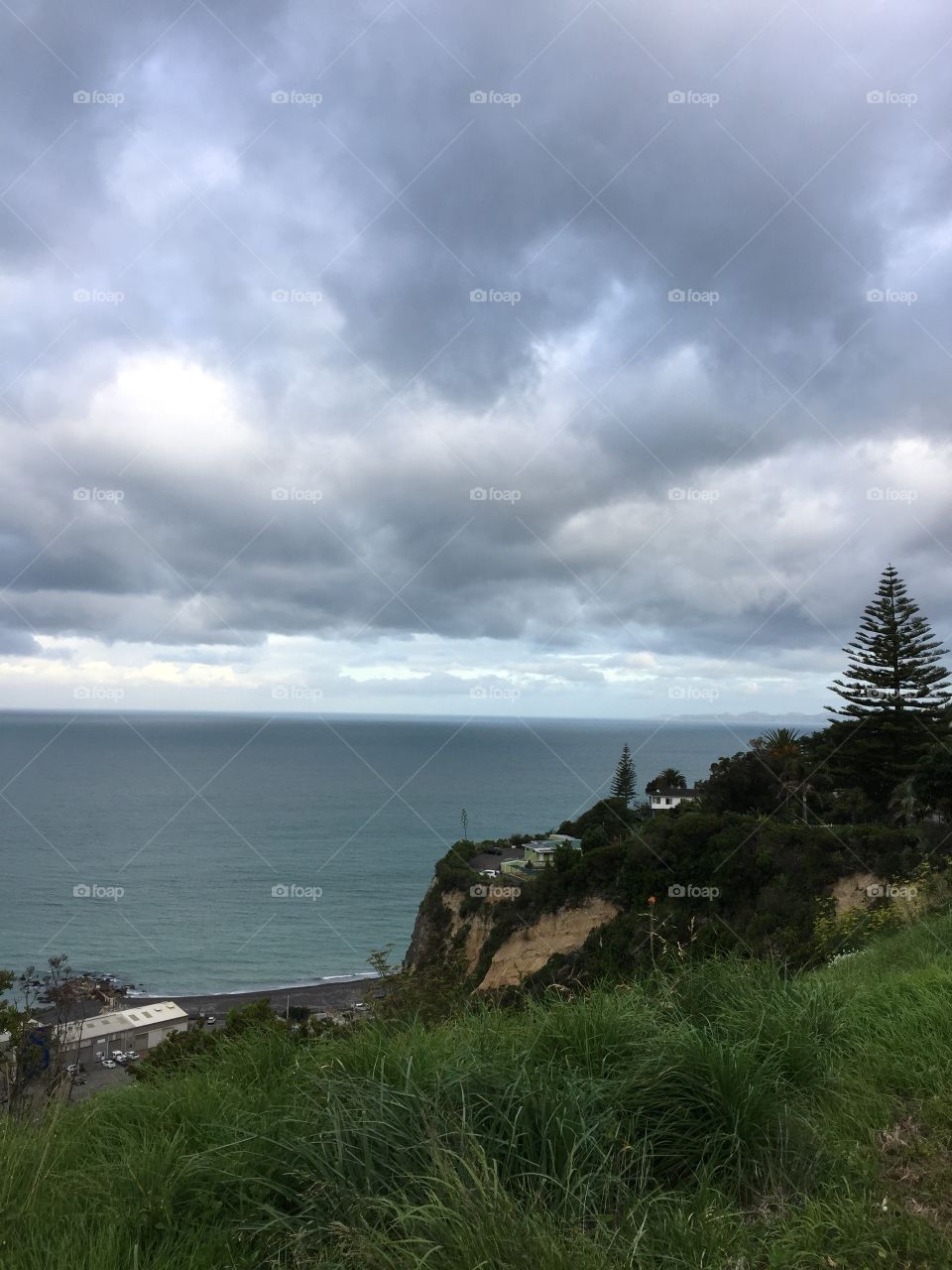 Hillside ocean view