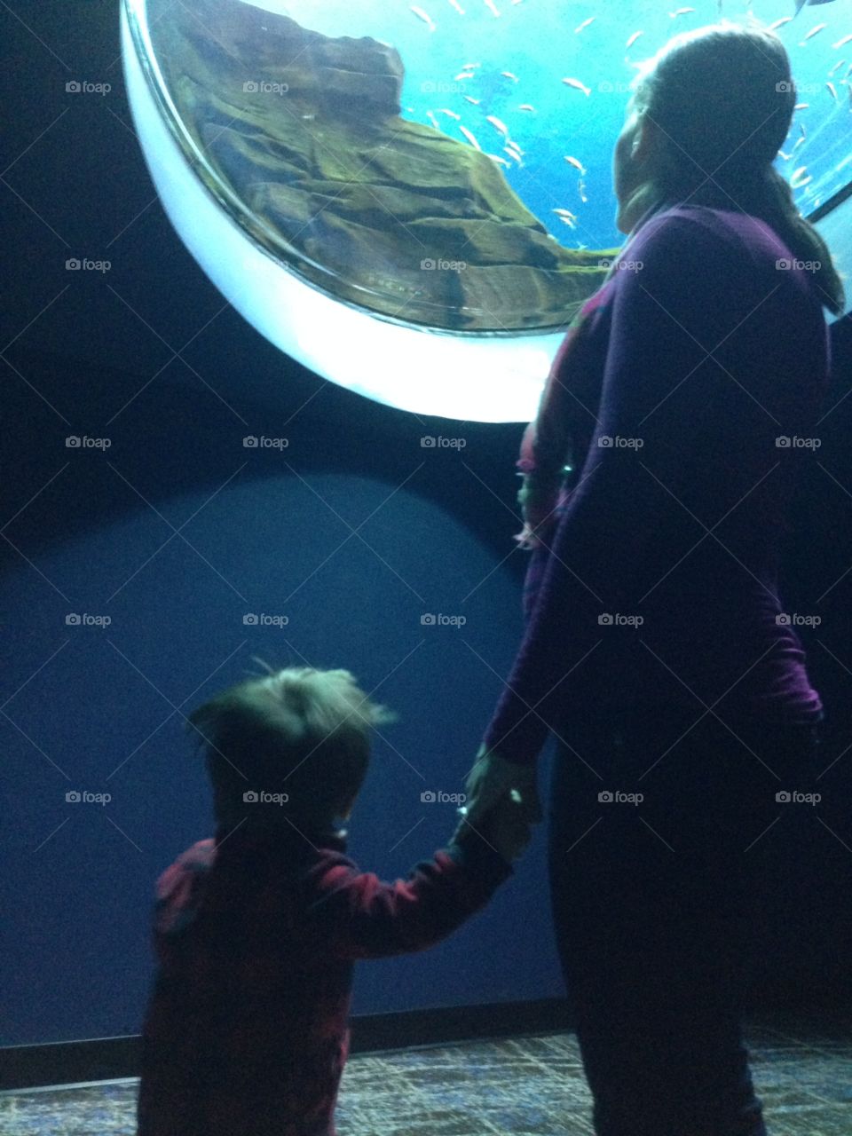 Pregnant mother holding hands with toddler boy under aquarium.