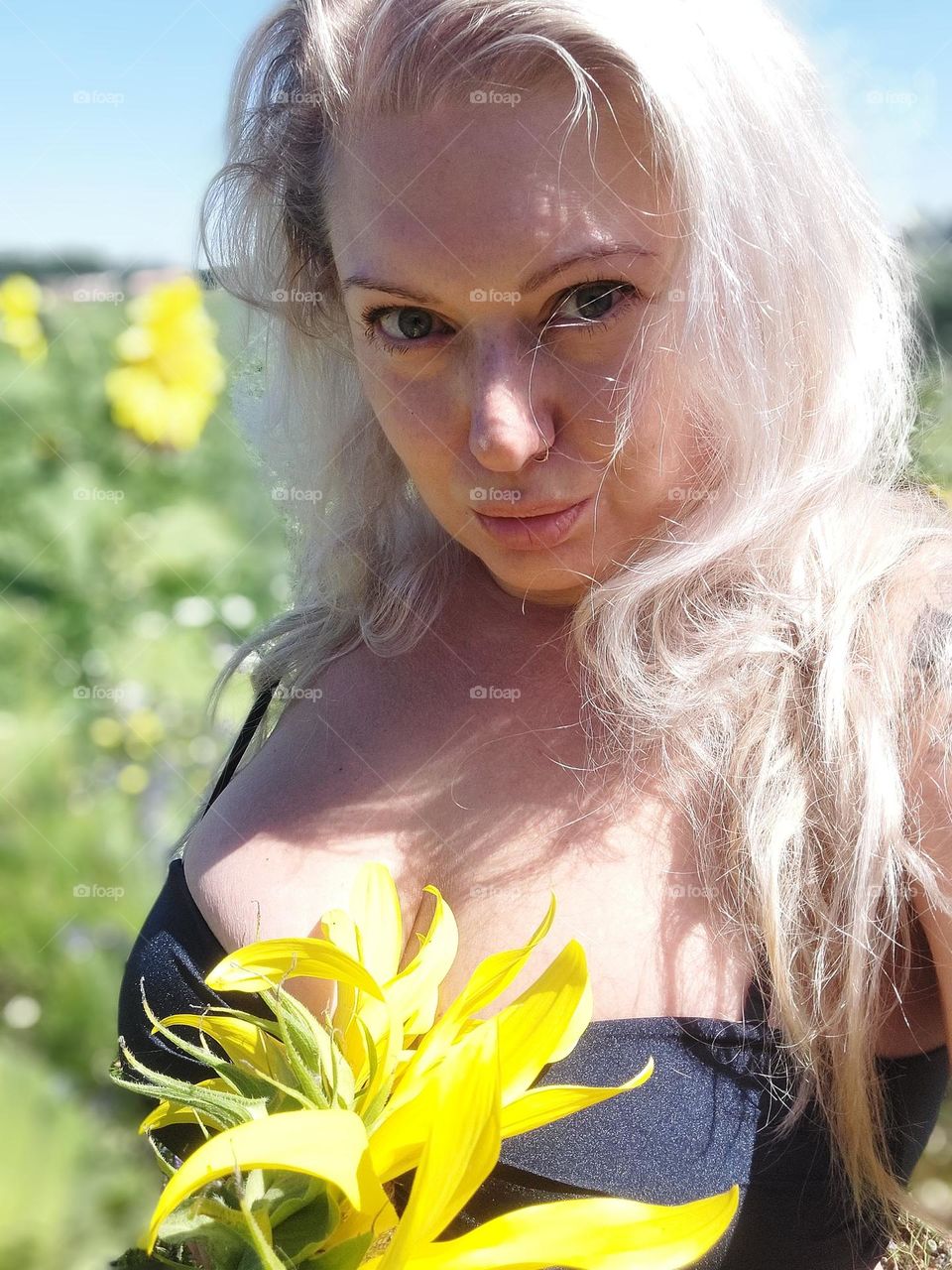 Sunflowers