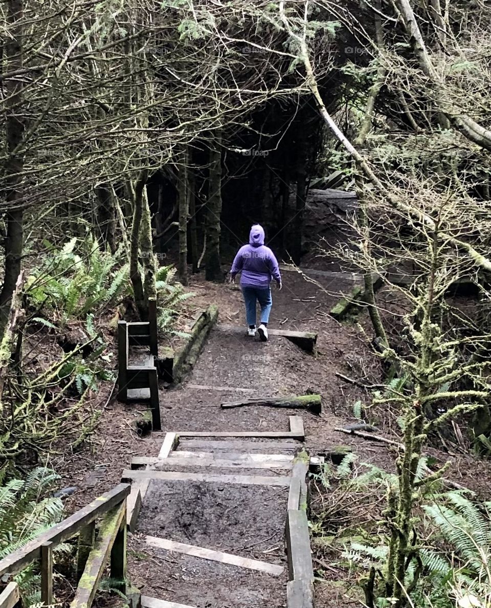 Oregon old growth forest hike in January 