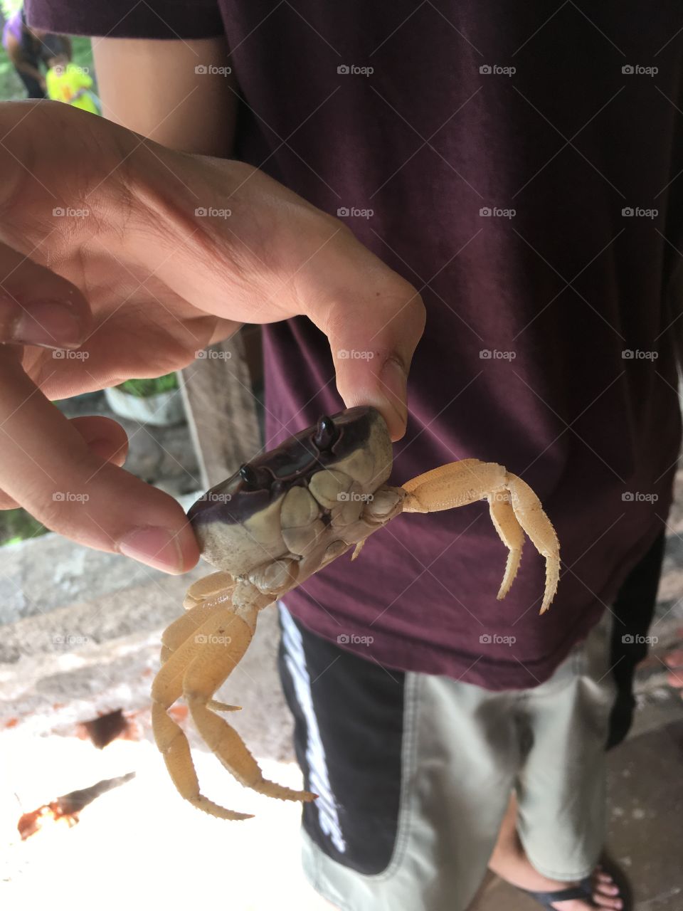 Holding a crab