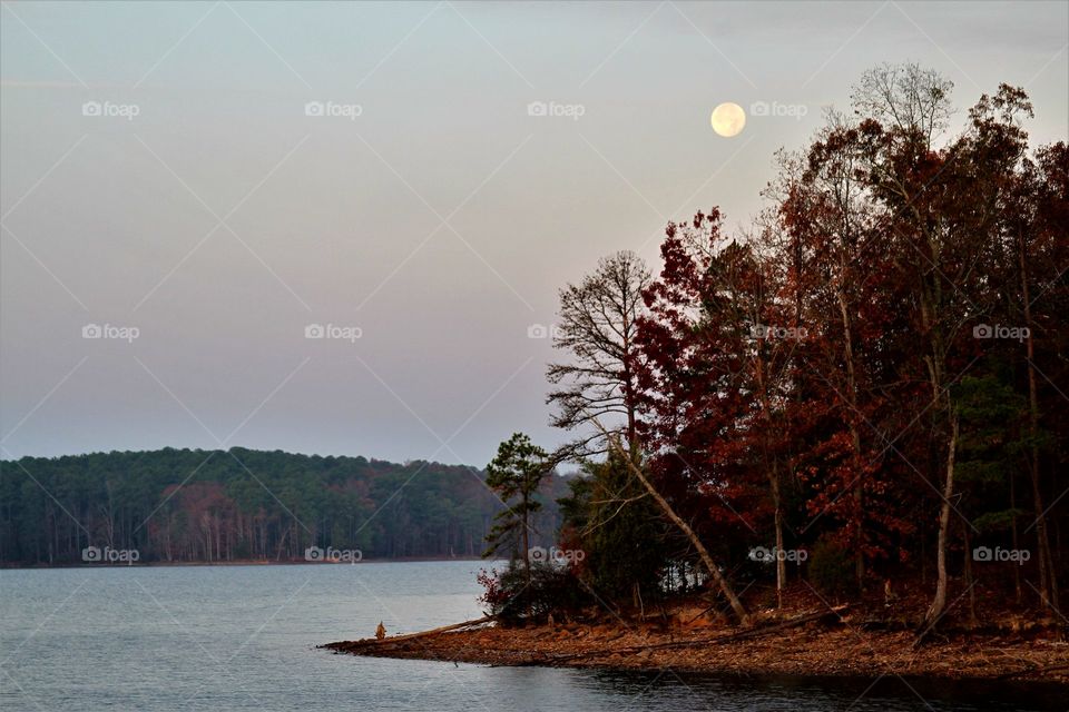 morning moon over lake.