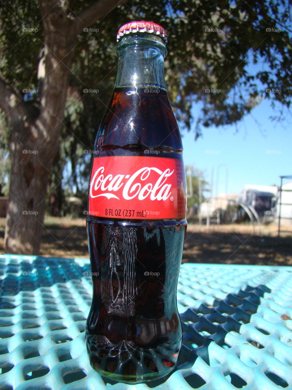 Coke bottle on the park table 