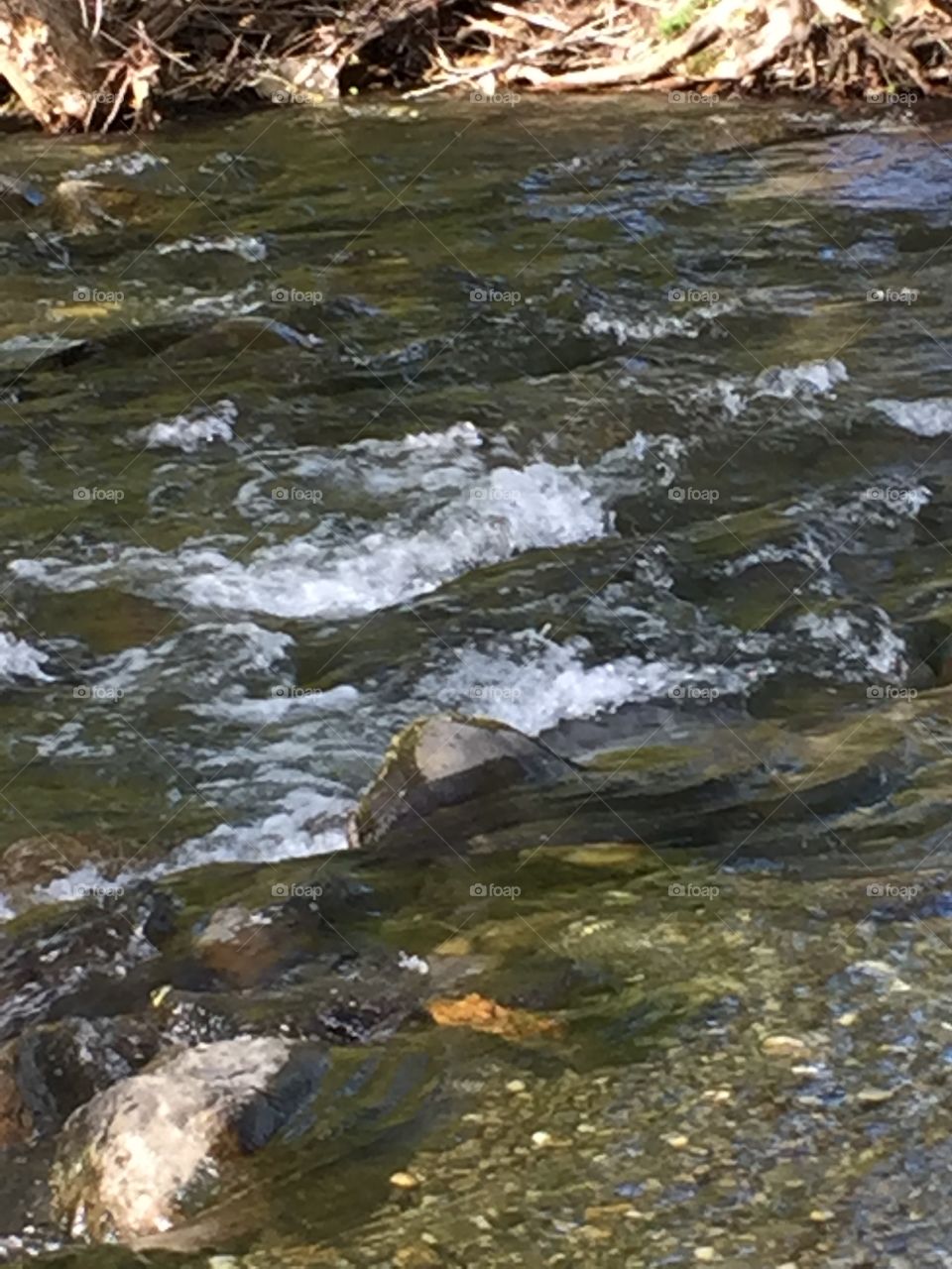 Rapids in a stream 