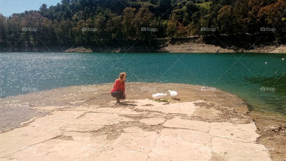 Reflecting on nature with ducks