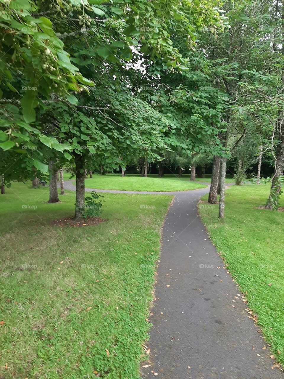 Park path
