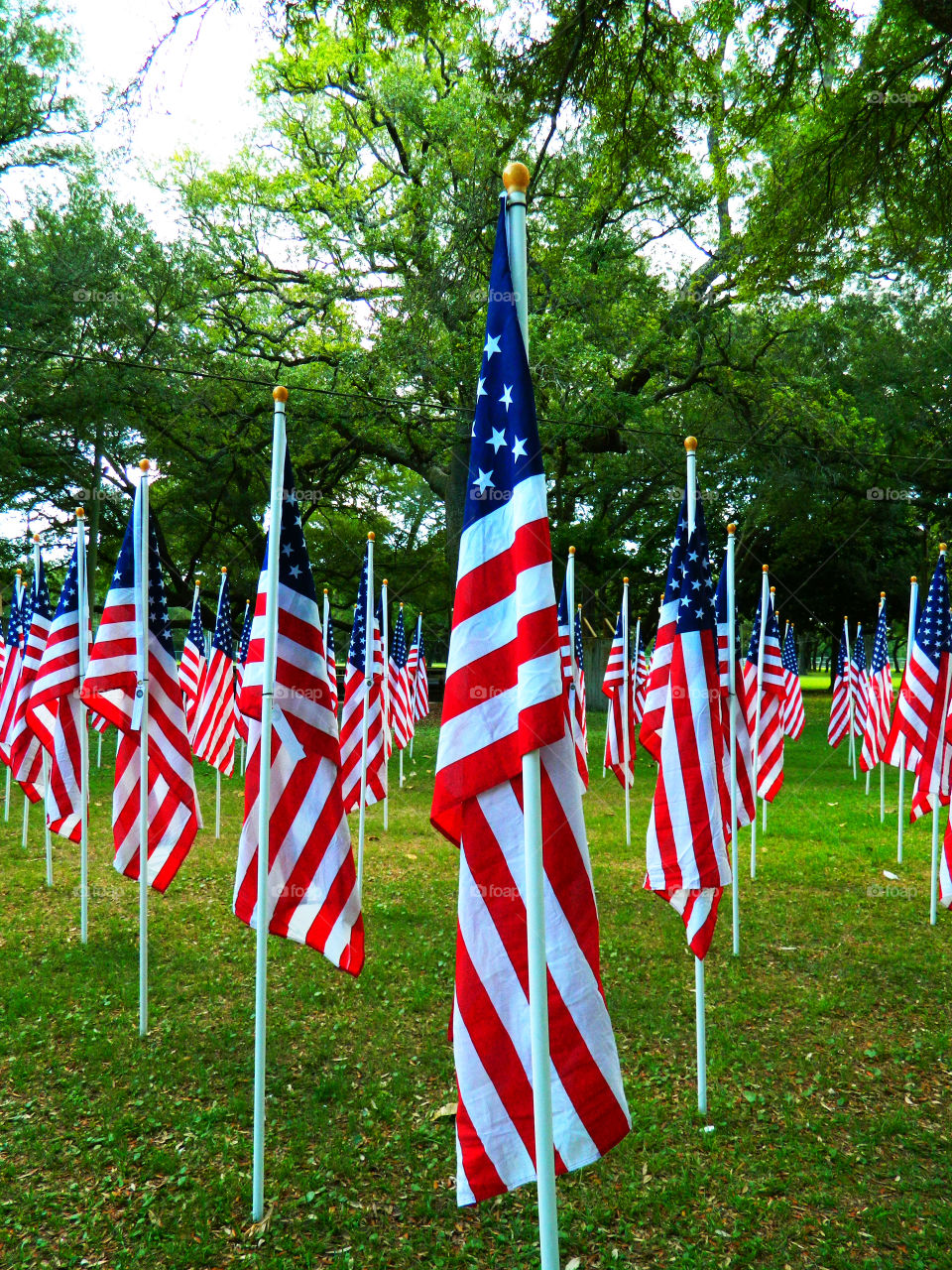 US Flags resting at ease, honoring the fallen US military men and women!