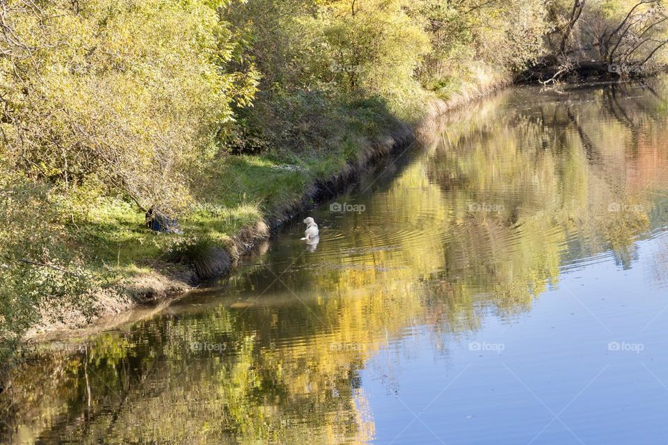 Reflections of autumn trees on the lake