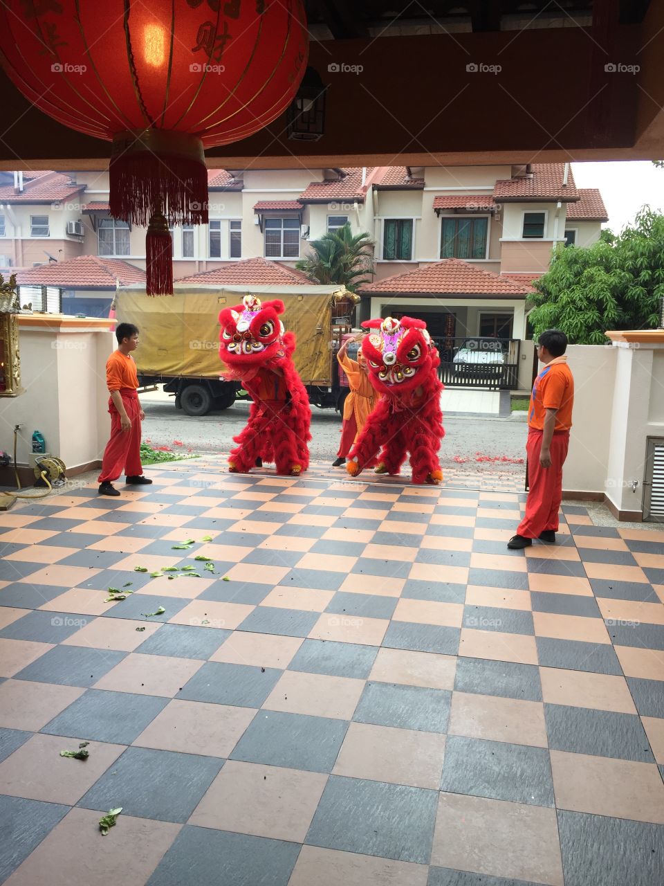 Lion Dance 